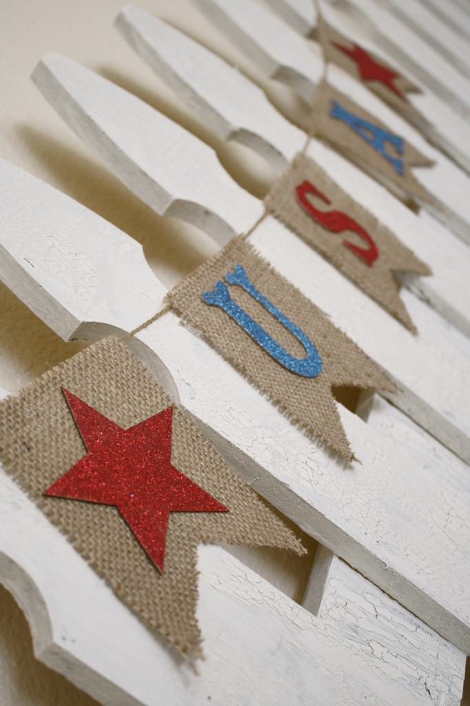 USA Pennant Banner