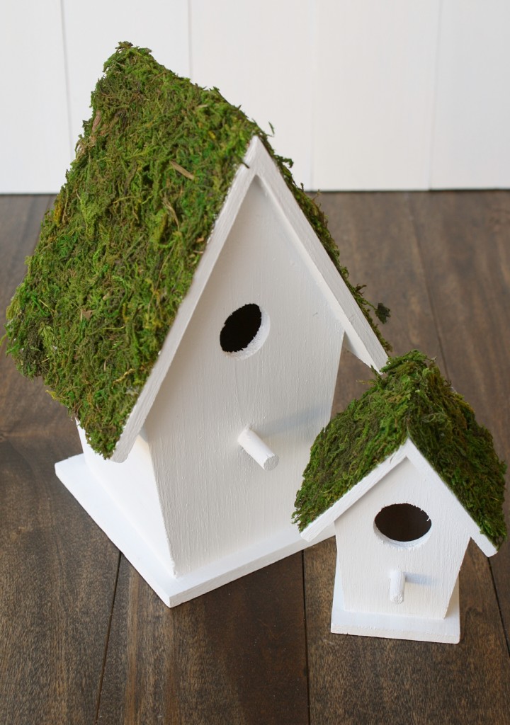 Moss Birdhouses