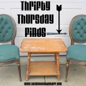 Thrifty Thursday Finds