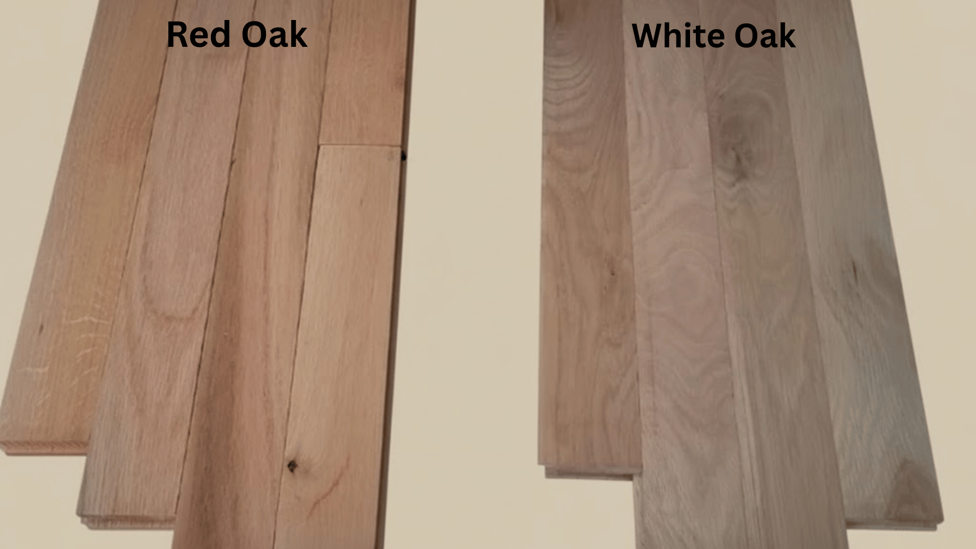 comparing characteristics of red oak vs white oak