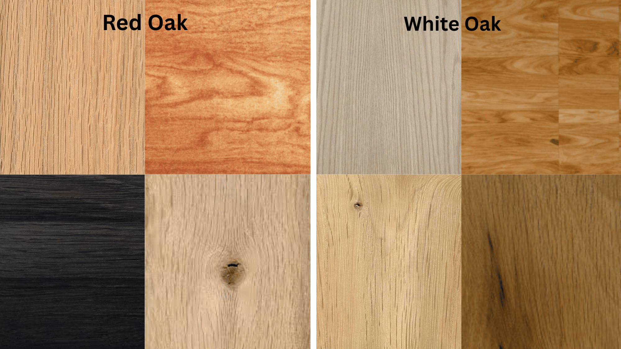 what kinds of wood are in the red and white oak group